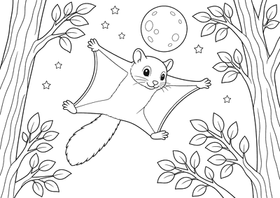 Desenho para colorir: Esquilo-voador planando